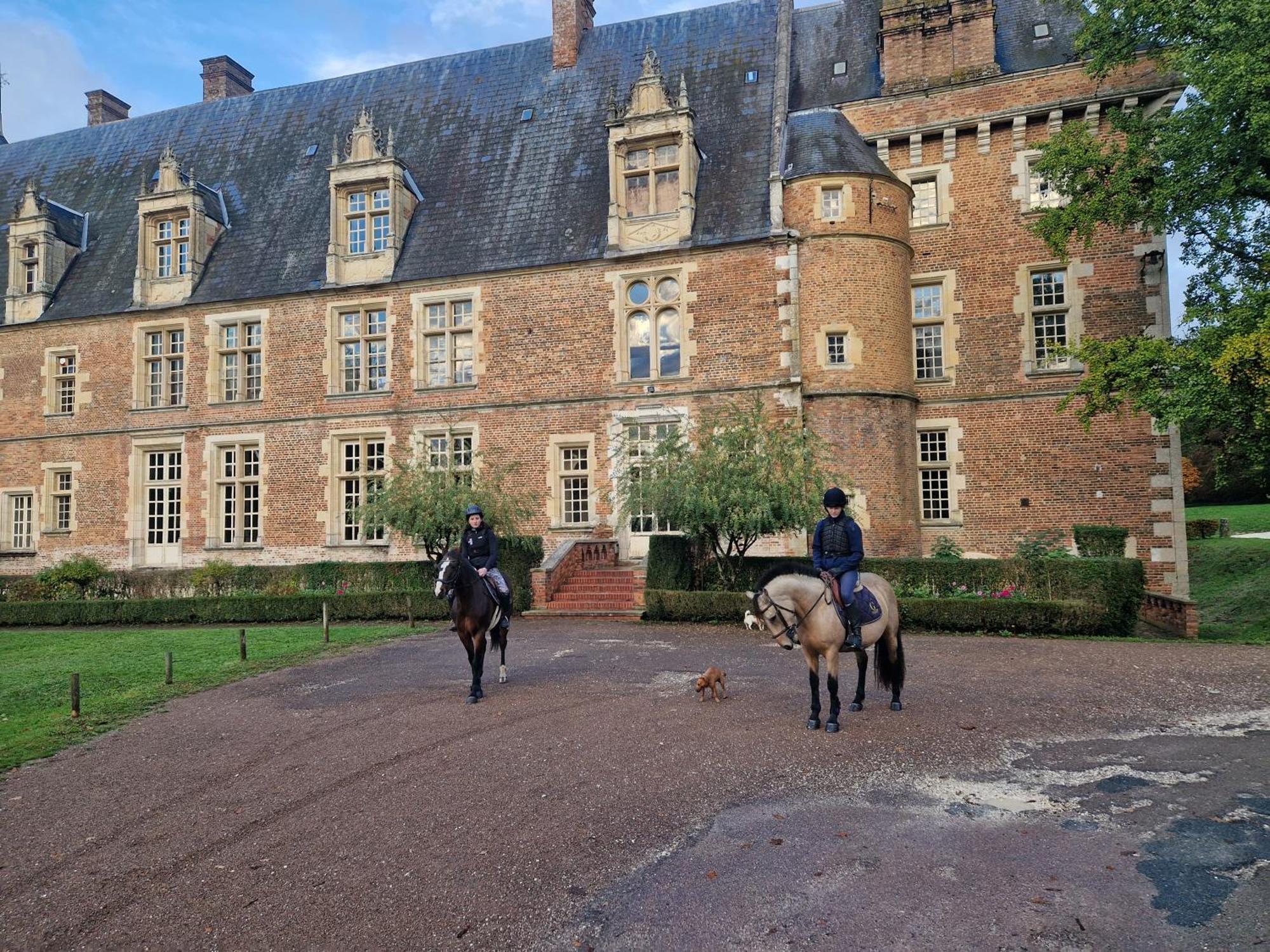 Ferme Equestre & Chambres D'Hotes Gateau Stables Proche Guedelon Saint-Amand-en-Puisaye Exterior photo